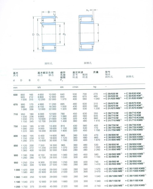 CARB圓環(huán)滾子軸承