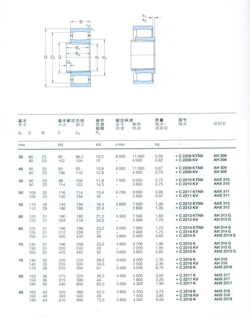 CARB圓環(huán)滾子軸承